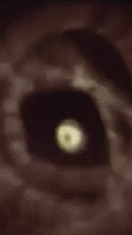 Angel GIF