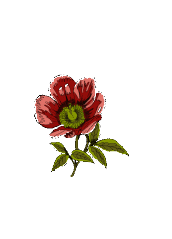 Flower Sticker