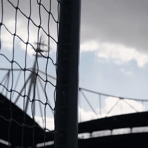 Bwfc GIF by Bolton Wanderers FC