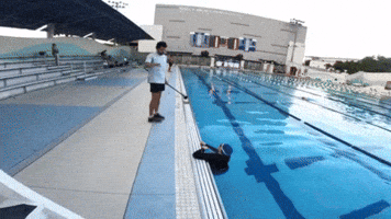 Swim GIF
