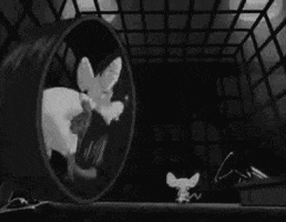 pinky and the brain animation GIF by hoppip