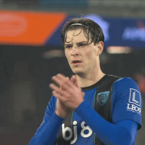 Happy Premier League GIF by AFC Bournemouth