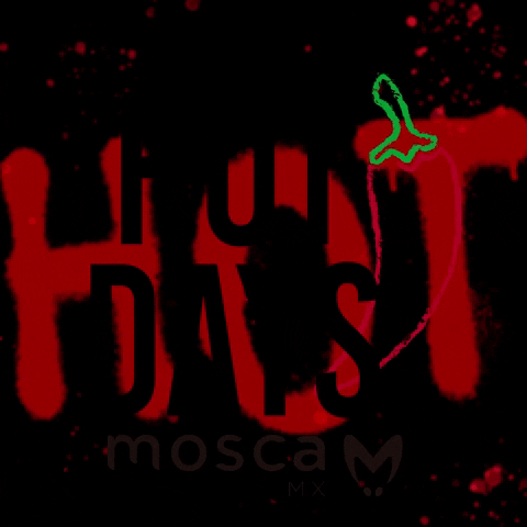 Mosca Mx GIF