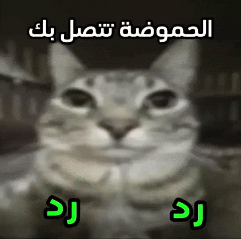 Almerothman GIF