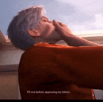 Sleepy Cat GIF