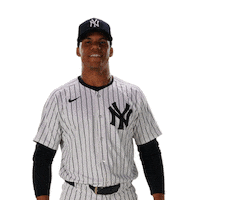 Juan Soto Baseball Sticker by New York Yankees