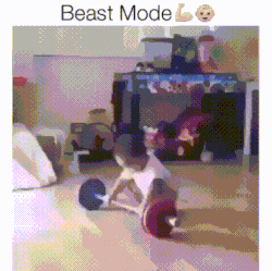 beast-mode meme gif