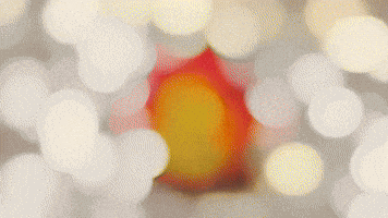 Im Hot GIF by TeaCosyFolk