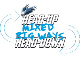 Headup Sticker by Fly Warriors