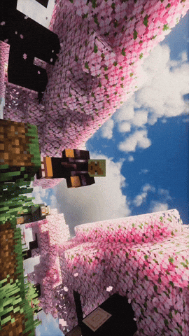 Minecraft Java Steve GIF