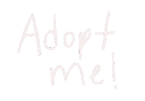 Prairie Paws Adoption Center Sticker