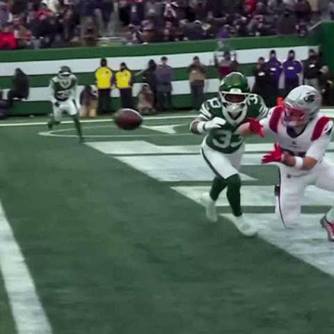Patriots GIF