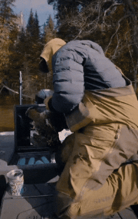 Llama Brown Chicken Brown Cow GIF