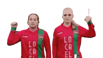 Haarlem Sticker by DSS Voetbal