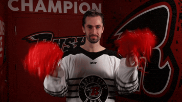 Alex Campbell GIF by Rapid City Rush