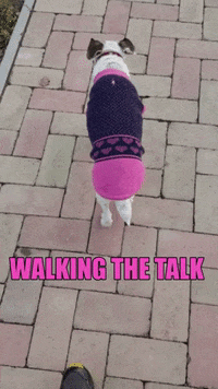 Walk cute GIF - Find on GIFER