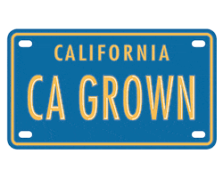 California Sticker by G-Free Foodie