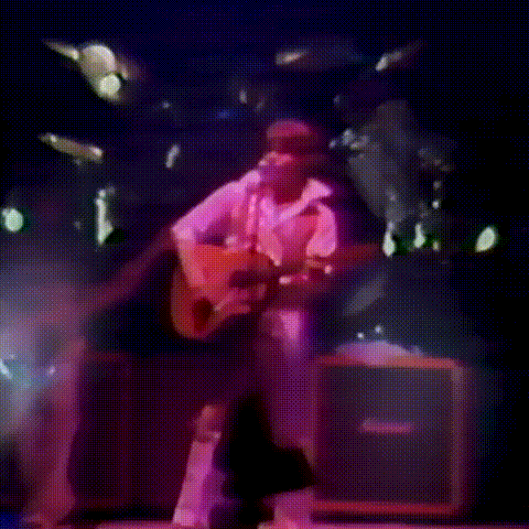 GIF by Steve Miller Band
