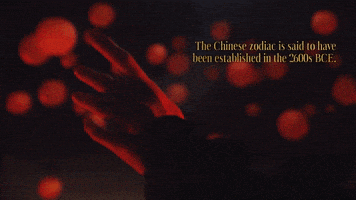 New Year Zodiac GIF by BuzzFeed