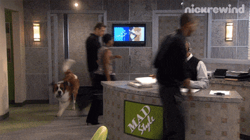 TV gif. From True Jackson, VP, a saint bernard dog runs into an office and up to the desk of a receptionist who asks "can I help you?" The dog barks and the receptionist points to the right.