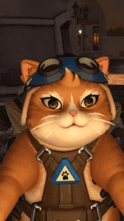 Cat Overwatch GIF
