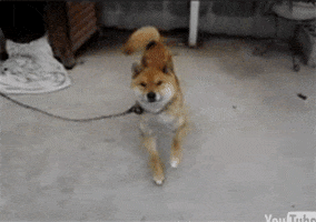 dancer GIF