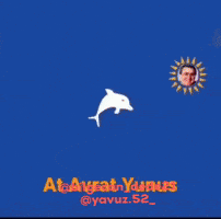 Sosyalizm Liberal Demokrat Parti GIF