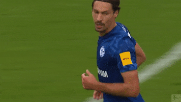German Soccer Wtf GIF by FC Schalke 04