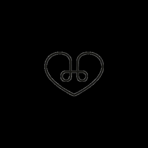 The Holistic Concept GIF