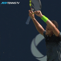 Tennis Celebration Gifs Get The Best Gif On Giphy