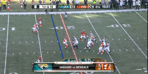 cincinnati bengals