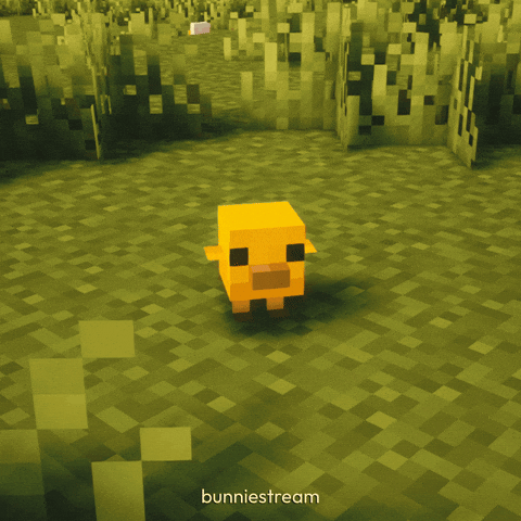 Baby Chicken GIF