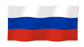 Flag Russia Sticker by SHEDEVR