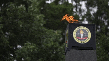Bowie State Torch GIF by Bowie State University