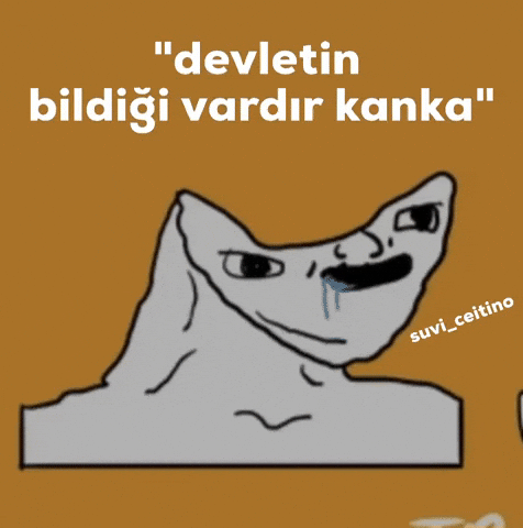 Reis Tayyip GIF