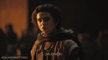 Angry Timothee Chalamet GIF by Warner Bros. Pictures