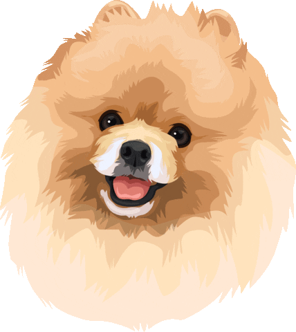 shineonmepetboutique Sticker