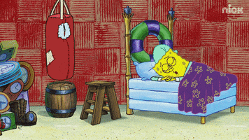 season 12 GIF by SpongeBob SquarePants