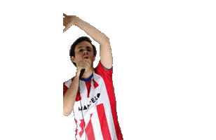 Svp9 Sticker by De Kaascoman