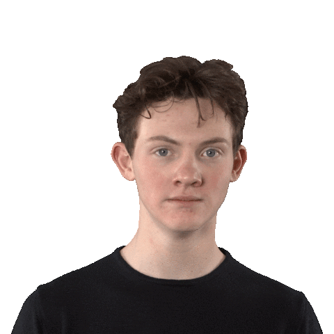 Disney Themepark Sticker