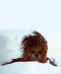 Star Wars Chewbacca Needs To Kick The Drugs GIF - Find & Share on GIPHY