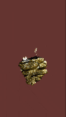 Nature GIF