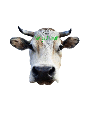 vivi gli animali Sticker
