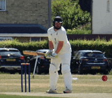 Jack Hayden Cricket GIF by Plumberparts