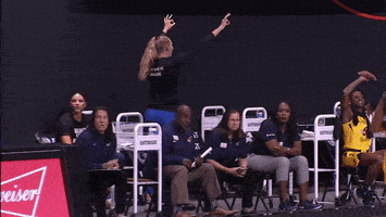 High Five Lets Go GIF by Indiana Fever