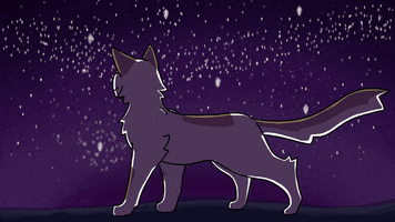 Stargazing GIF