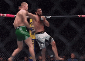 Islam Makhachev Ufc GIF
