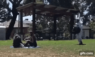 Boyfriend Of The Year GIF