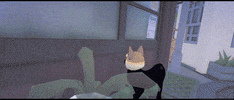 Cat GIF