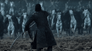 Game Of Thrones GIF by giphydiscovery